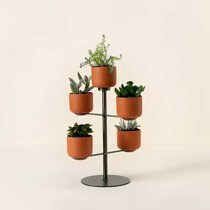 Modern Desktop Terracotta Planters